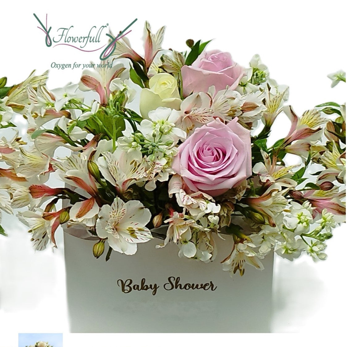 Aleli Baby | Blumenarrangement