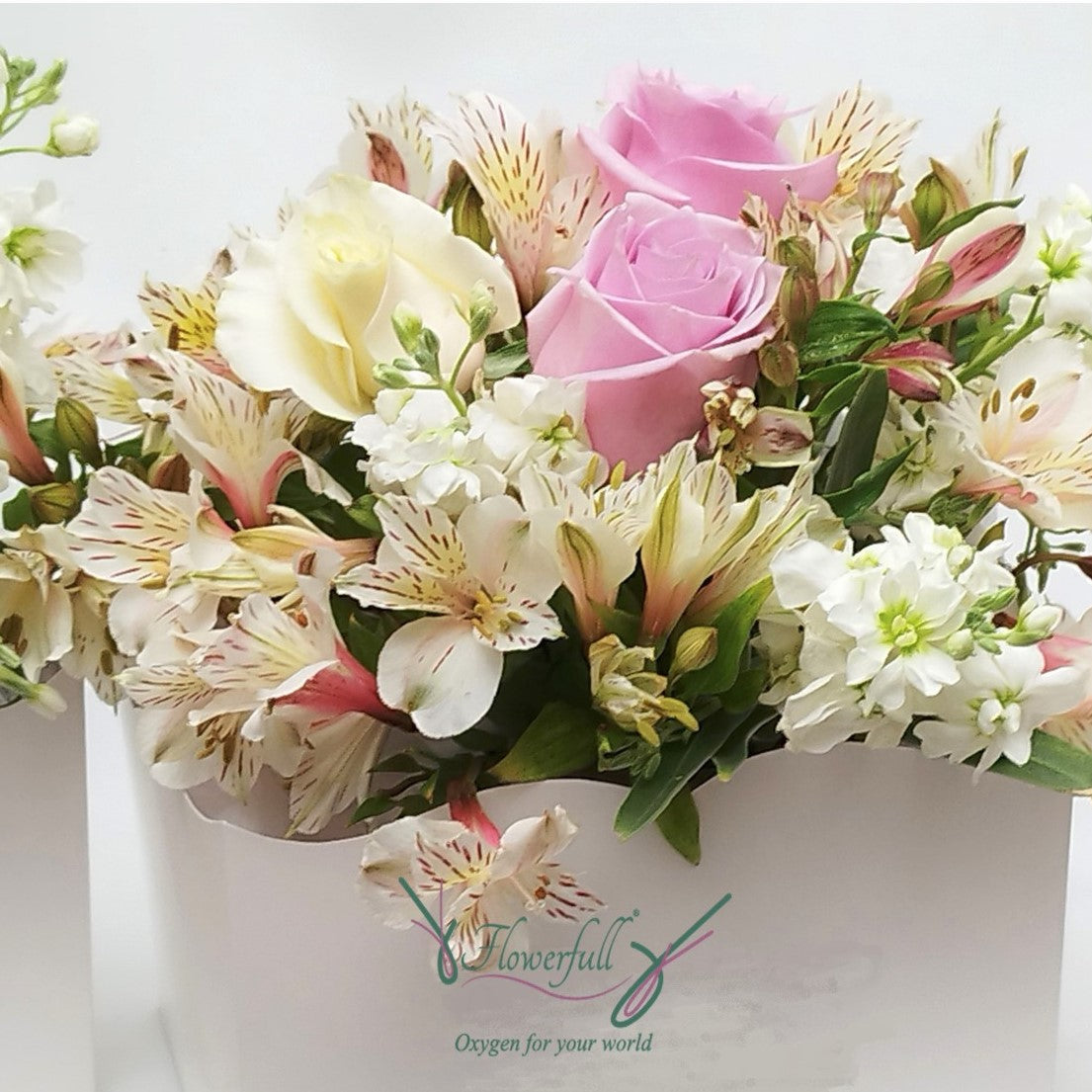 Aleli Baby | Blumenarrangement