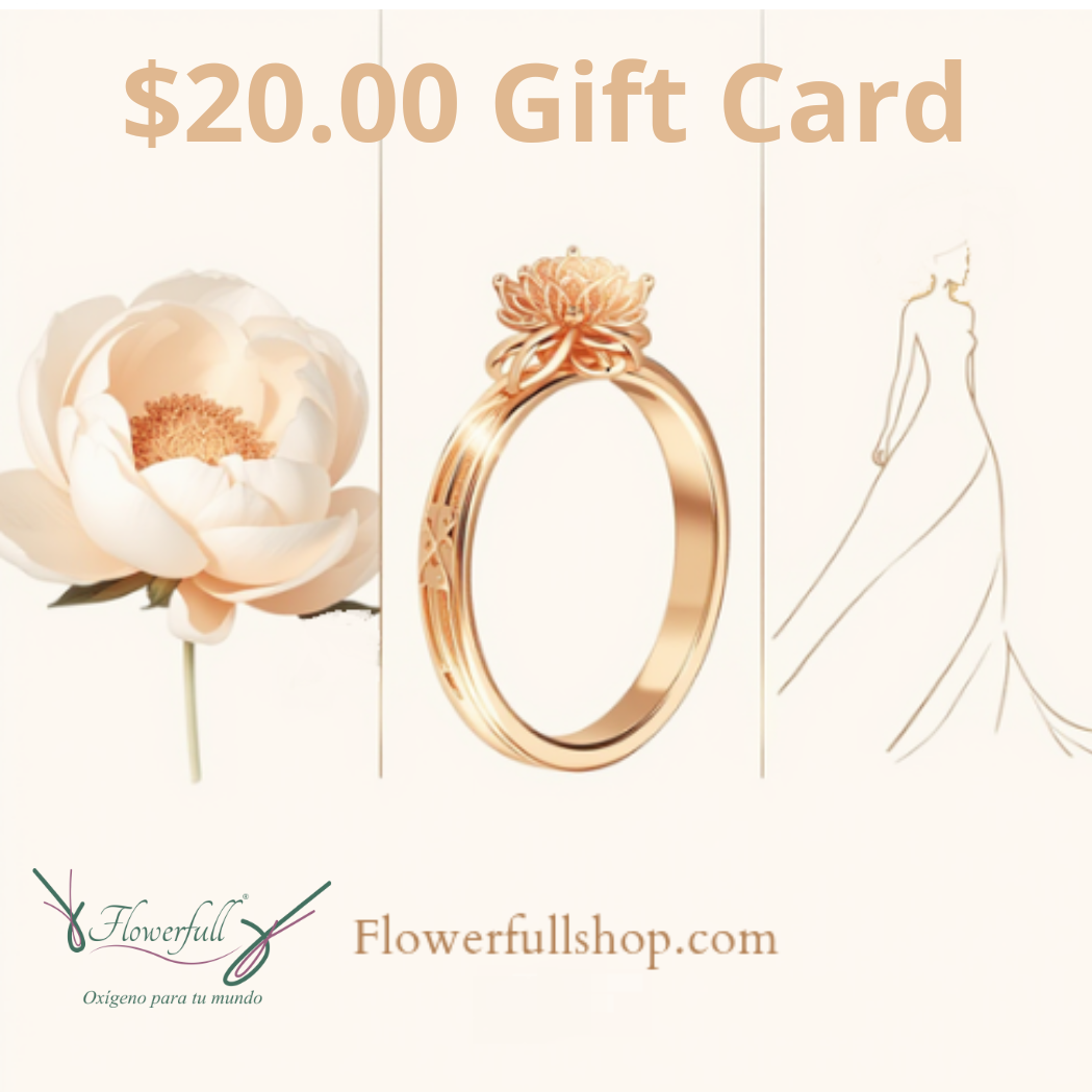 Gift Card $20.00