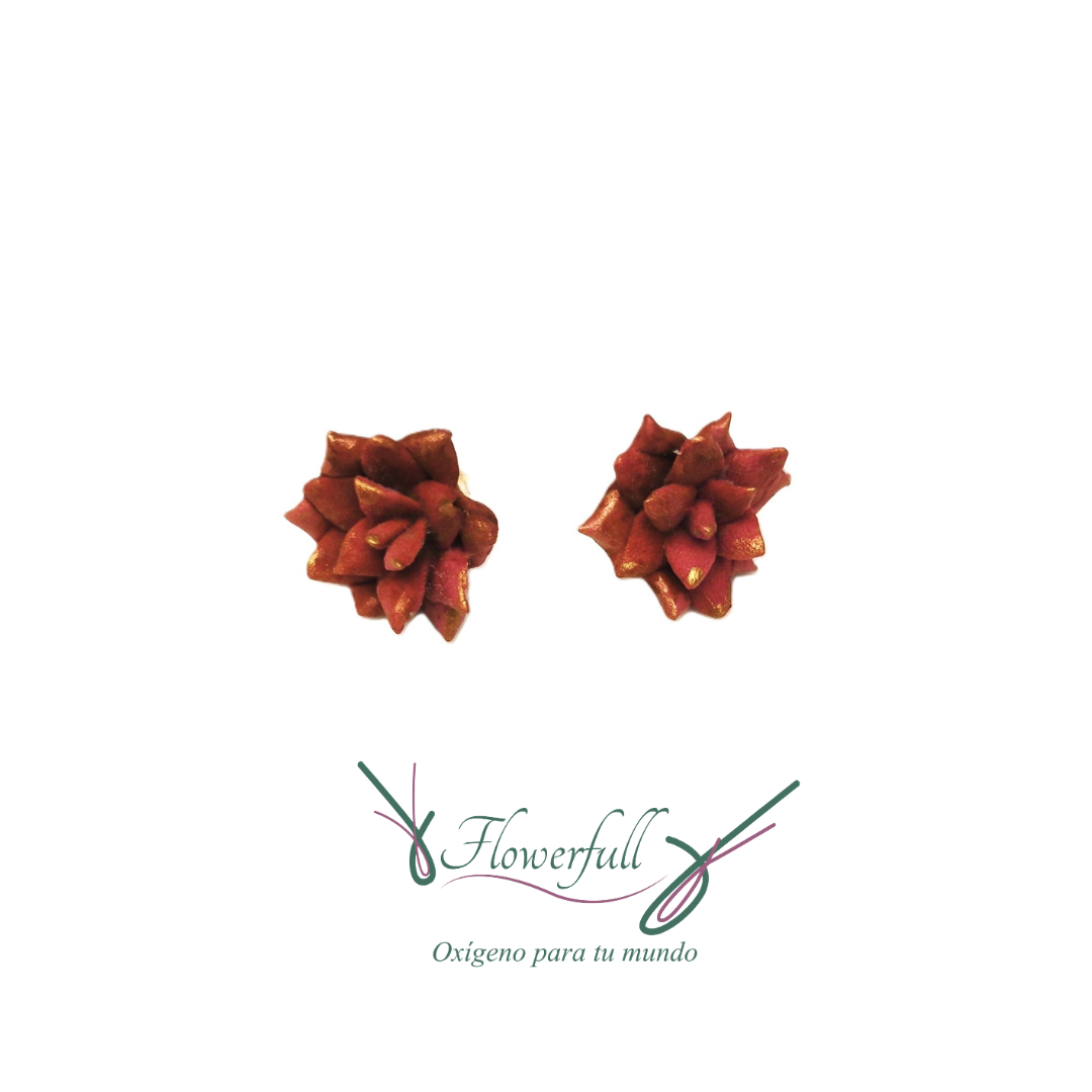 Suculenta Burgundy | Aretes