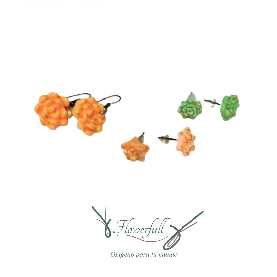 Trio de aretes de suculentas