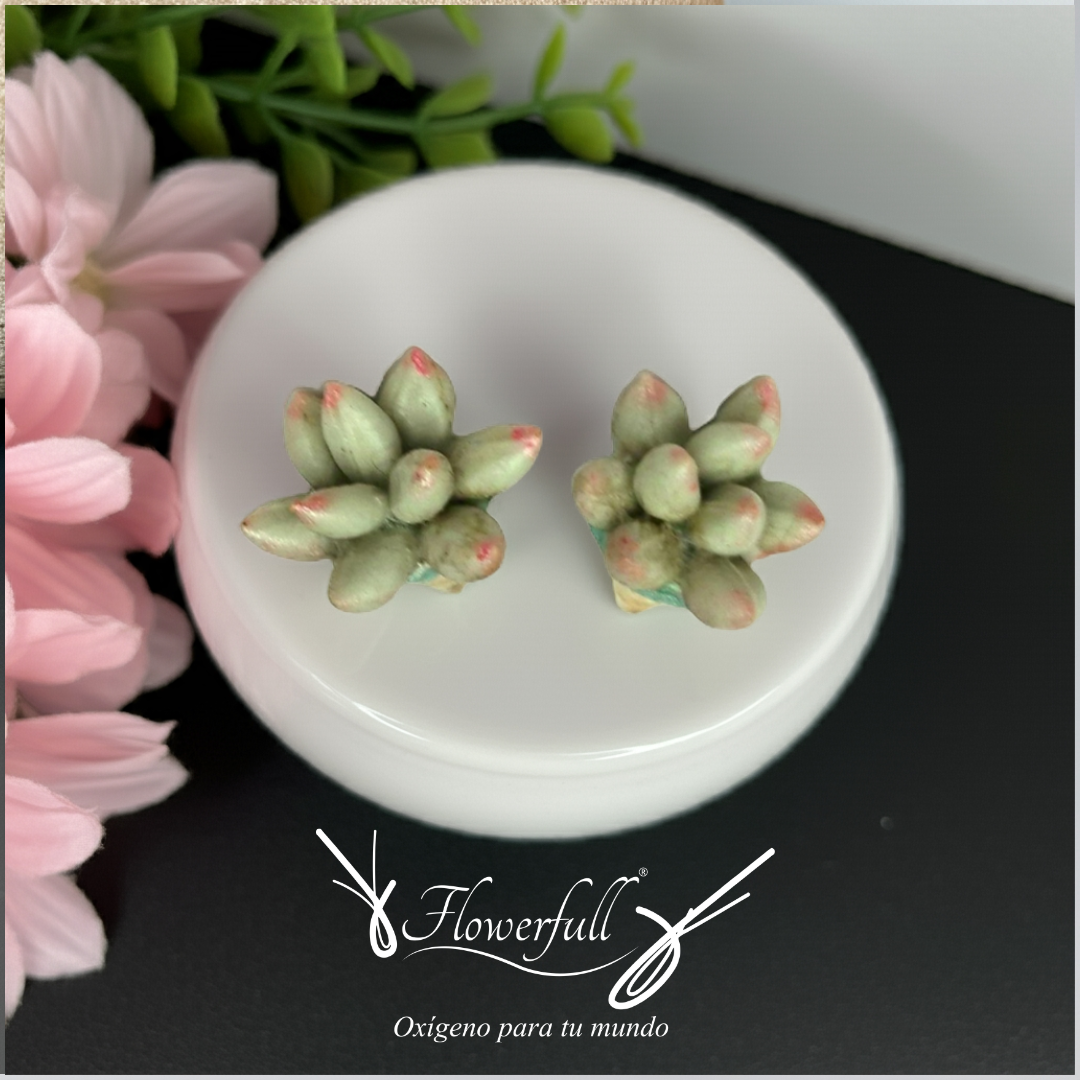 Aretes y dije suculenta verde | Set