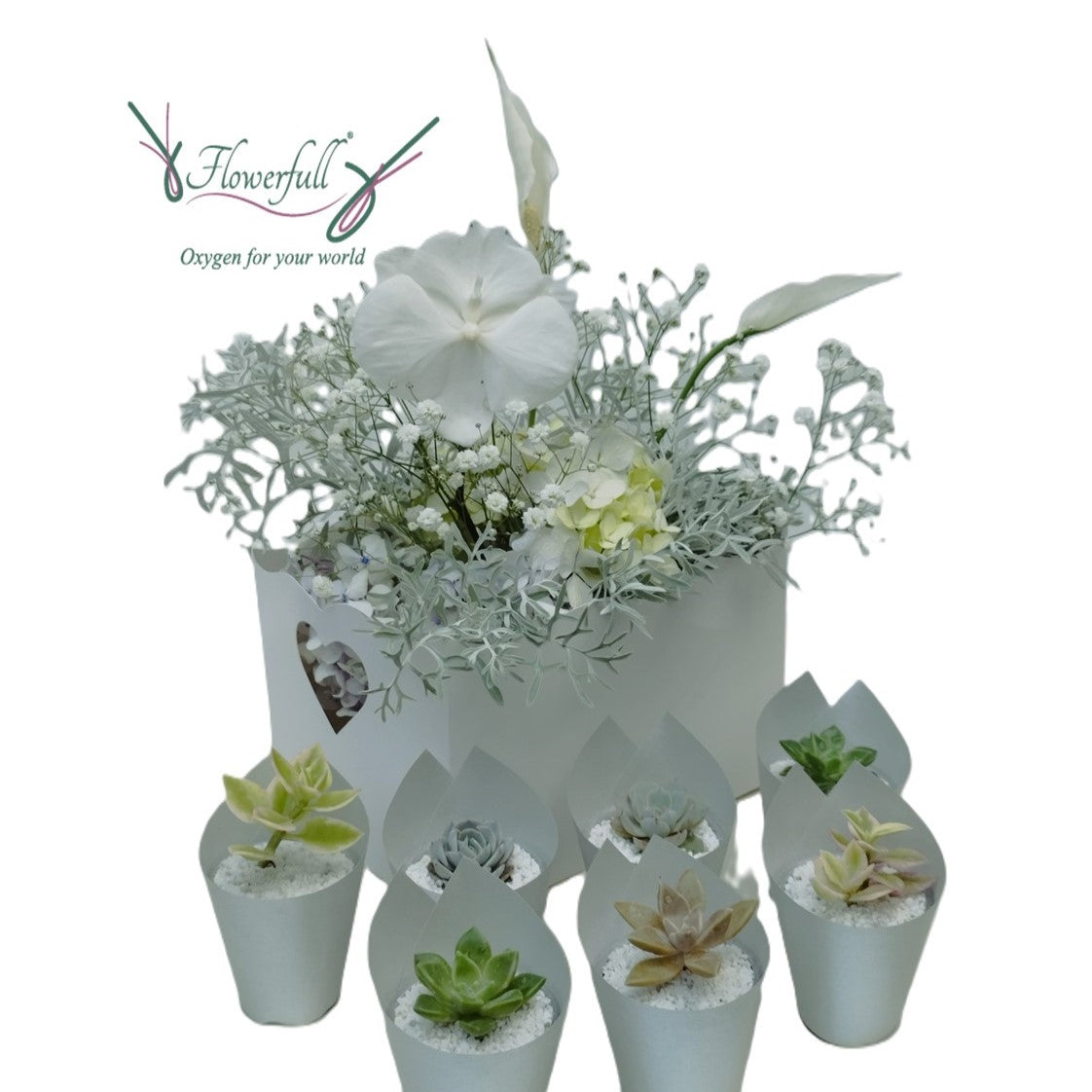 Orchidee | Blumenarrangement & saftiges Andenken