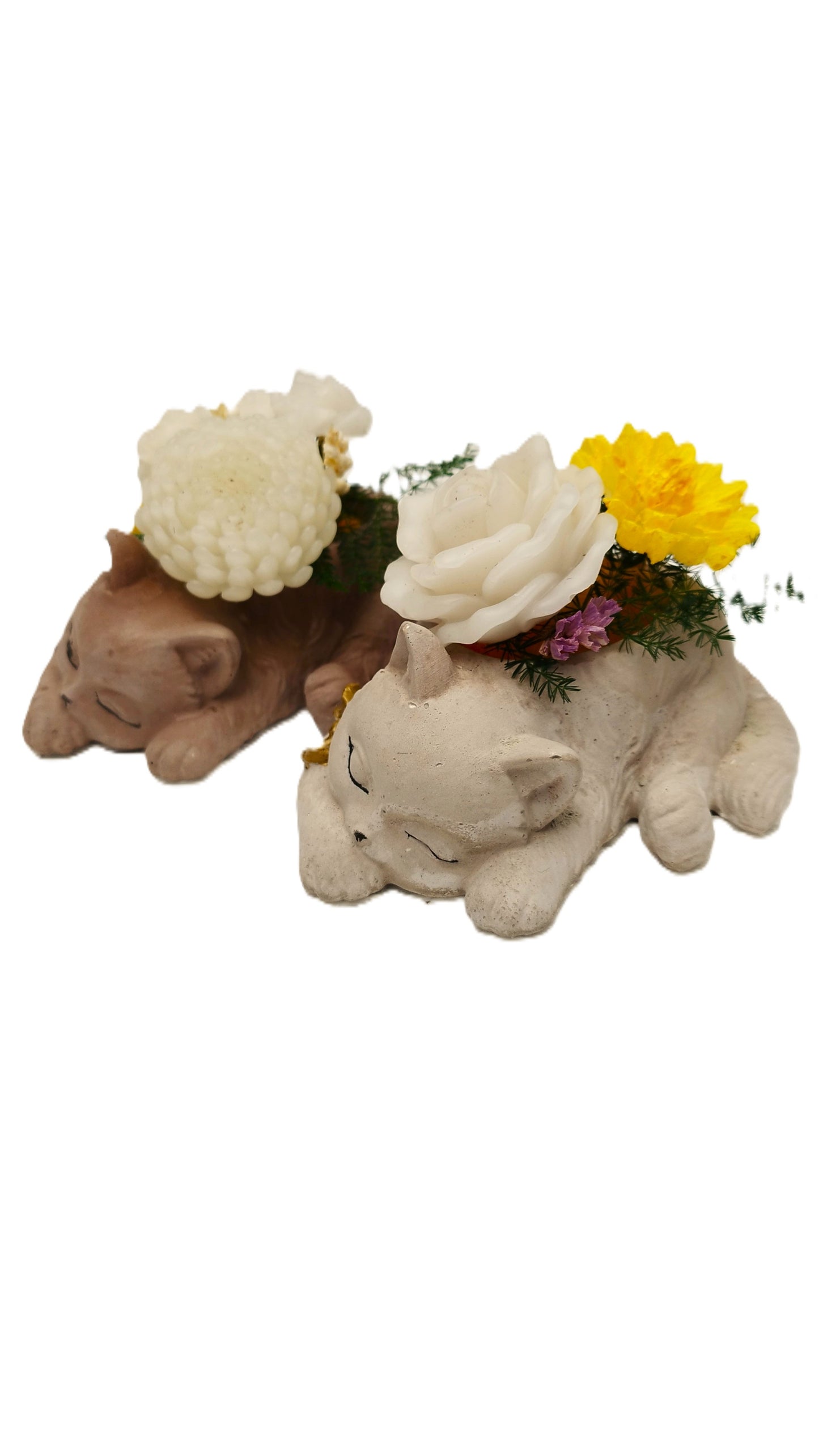 Regalo Base decorativa Gatito