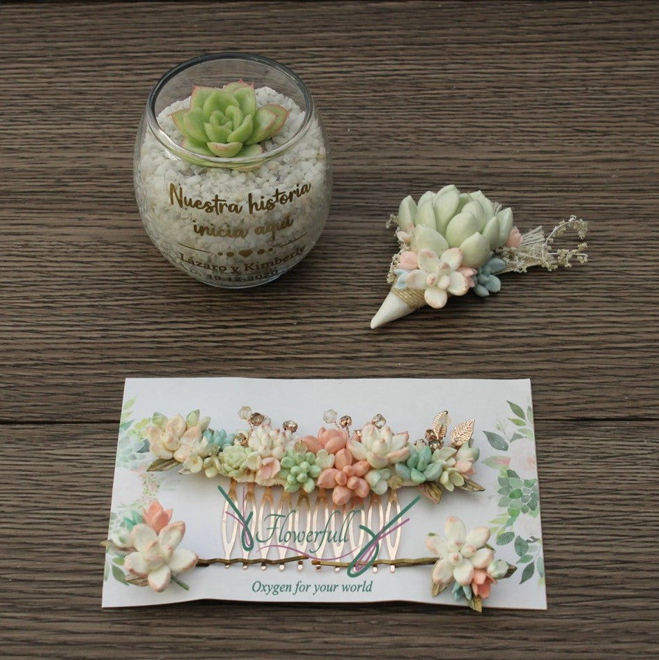 Pfirsich-Minze | Hochzeitskamm-Haarnadel-Bouquet-Sukkulenten-Andenken-Set