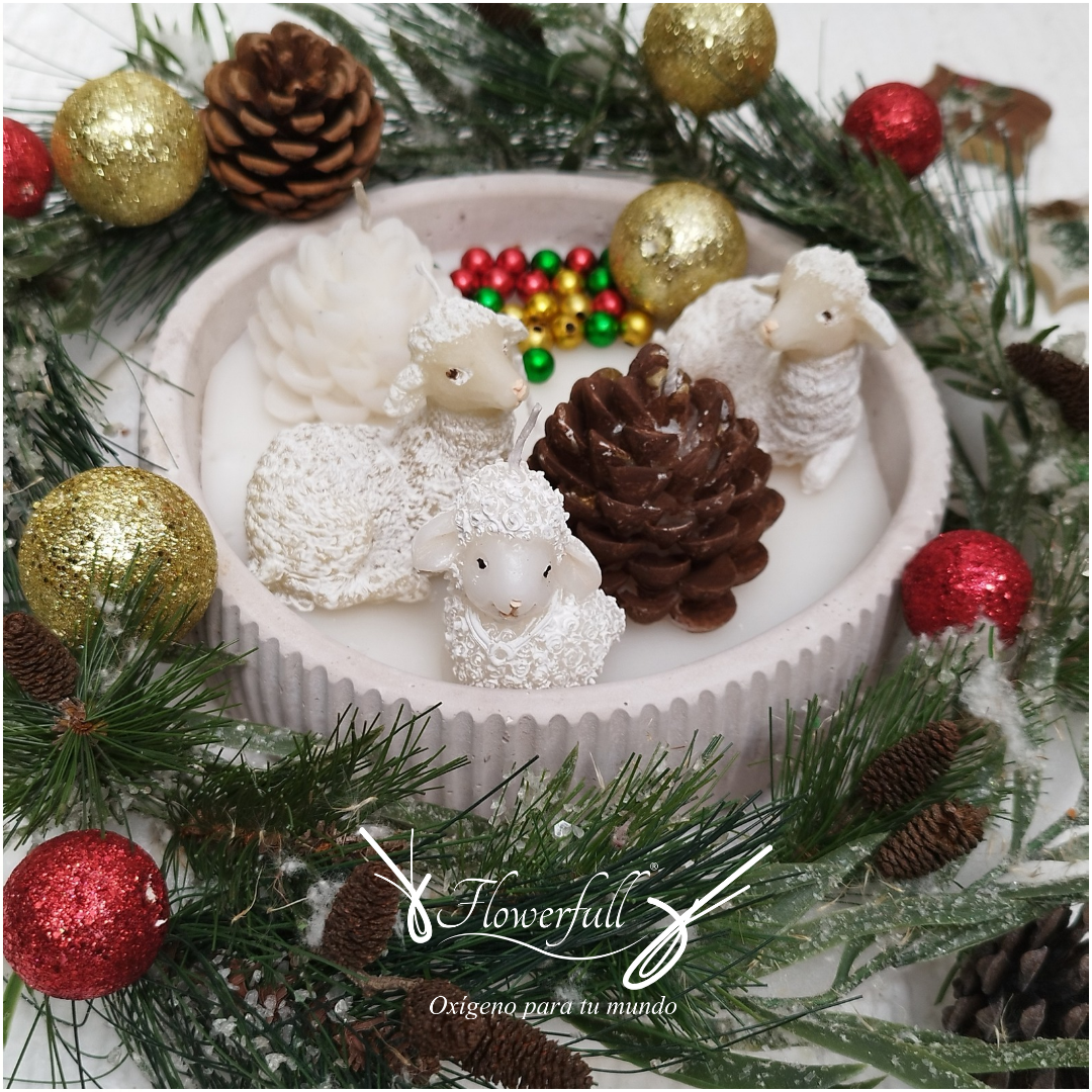 Flores y Regalos | Flowerfull ®